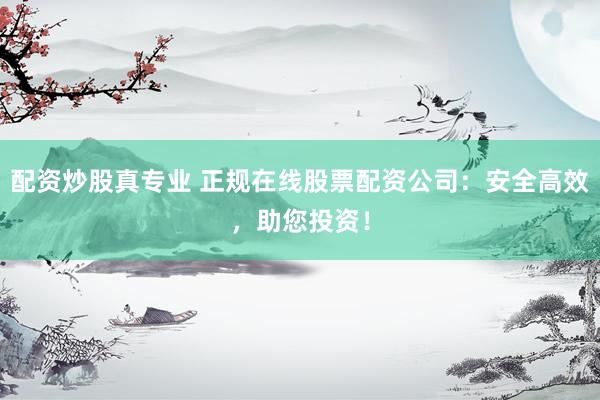 配资炒股真专业 正规在线股票配资公司：安全高效，助您投资！