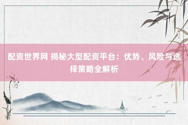 配资世界网 揭秘大型配资平台：优势、风险与选择策略全解析