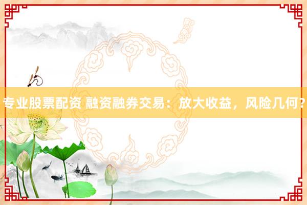 专业股票配资 融资融券交易：放大收益，风险几何？