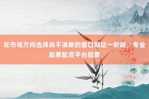 在市场方向选择尚不清晰的窗口期这一阶段，专业股票配资平台股票