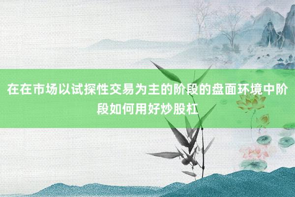在在市场以试探性交易为主的阶段的盘面环境中阶段如何用好炒股杠
