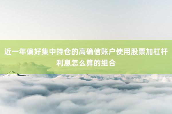 近一年偏好集中持仓的高确信账户使用股票加杠杆利息怎么算的组合