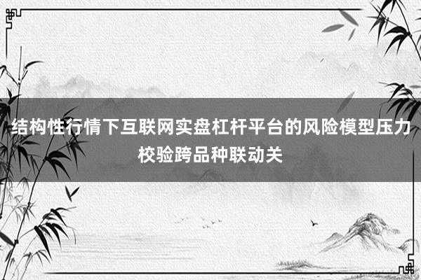 结构性行情下互联网实盘杠杆平台的风险模型压力校验跨品种联动关