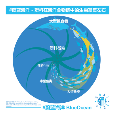 #世界海洋日# GoalBlue为蓝 #为蓝海洋--塑料在海洋食物链中