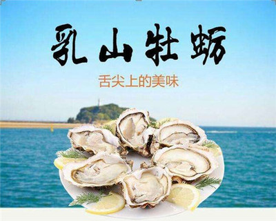 威海融入胶东经济圈,怎么看?怎么干?